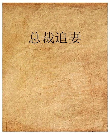 總裁追妻(餘愛寧創作的網路小說)