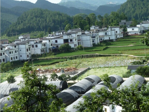 孫家村(雲南省曲靖市會澤縣迤車鎮孫家村)