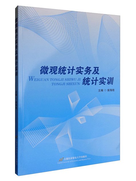 微觀統計實務及統計實訓