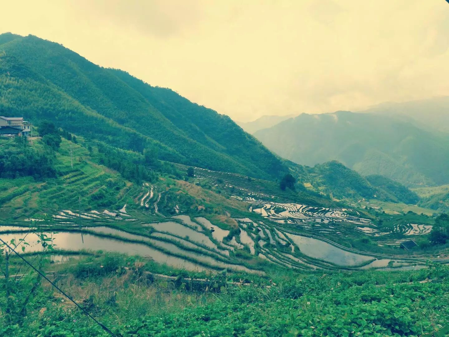 福建尤溪聯合梯田(尤溪梯田)