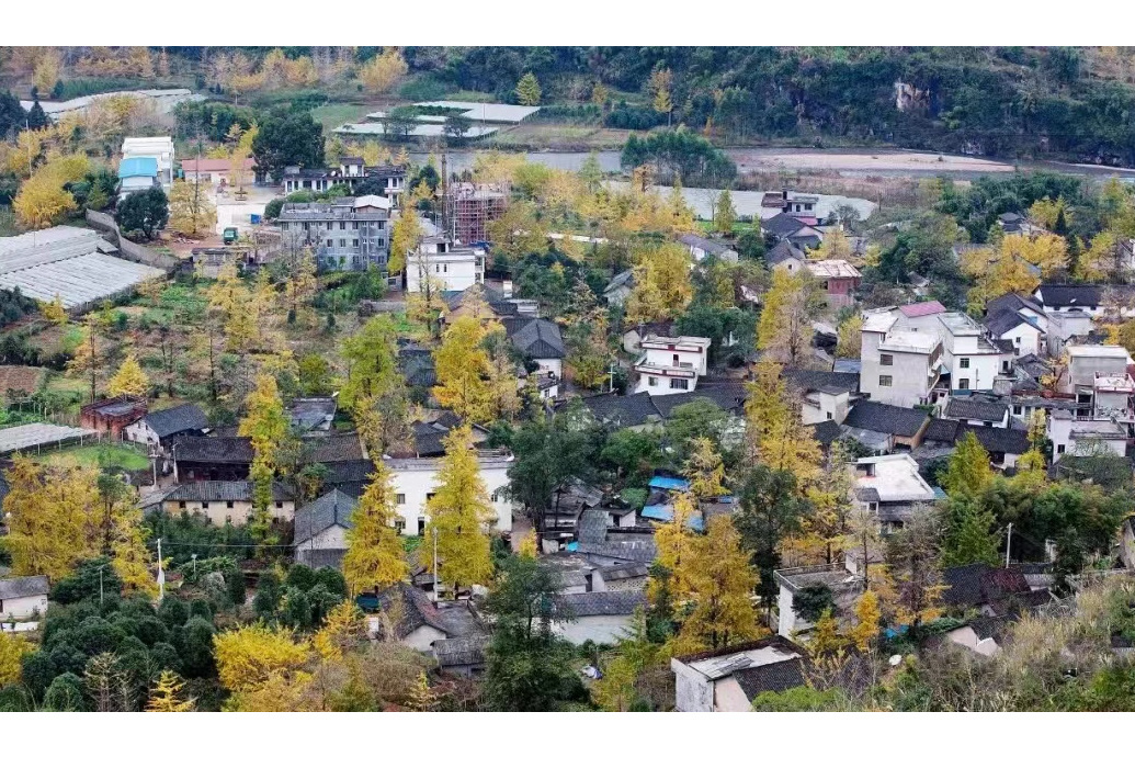 杉樹村(廣西壯族自治區桂林市興安縣嚴關鎮下轄村)