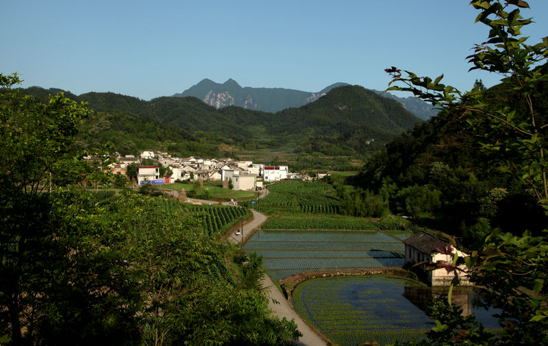 石門村(雲南省昆明東川區阿旺鎮石門村委會)