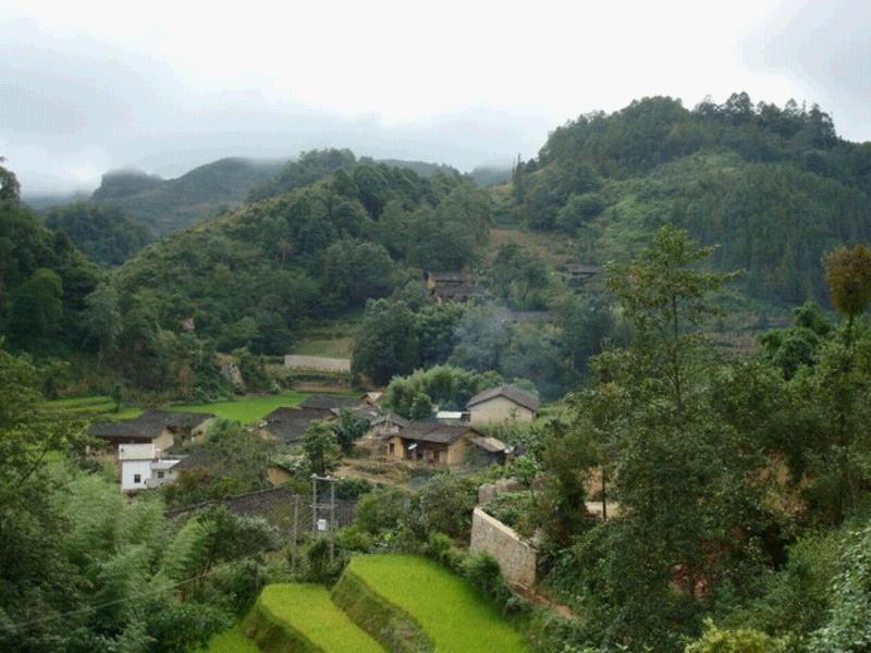 大坪子村(雲南省文山州富寧縣田蓬鎮大坪子村)