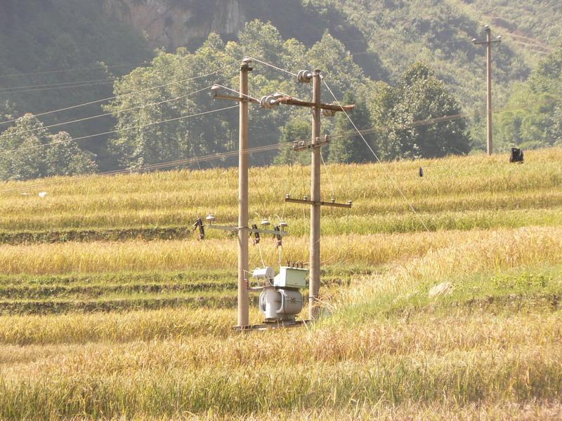 田間