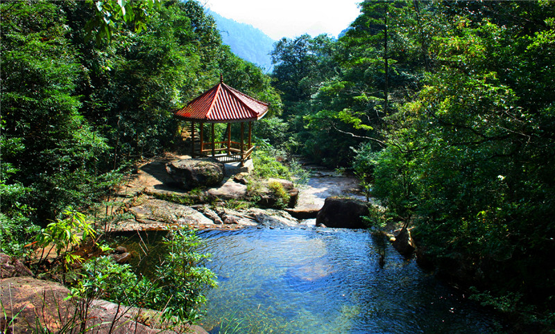 福建武夷山國家森林公園