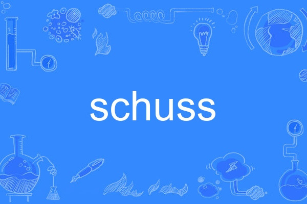 schuss