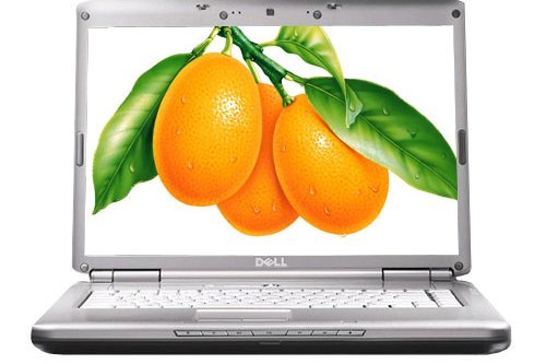 戴爾Inspiron 1526(S510628CN)