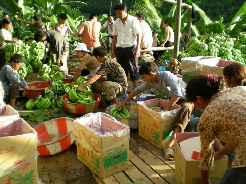 村民生活勞動場景