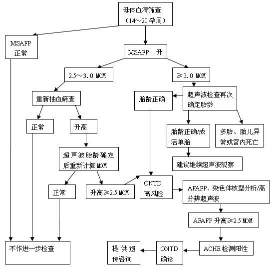 開放性神經管缺陷