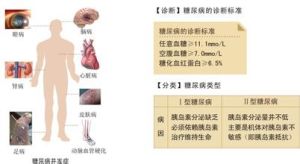 糖尿病發病機理