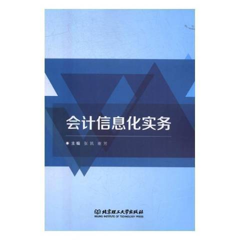 會計信息化實務(2018年北京理工大學出版社出版的圖書)