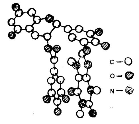 EGCG-Caffeine 絡合物分子模型