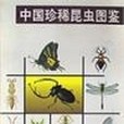 中國珍稀昆蟲圖鑑(1999年中國林業出版社出版的圖書)