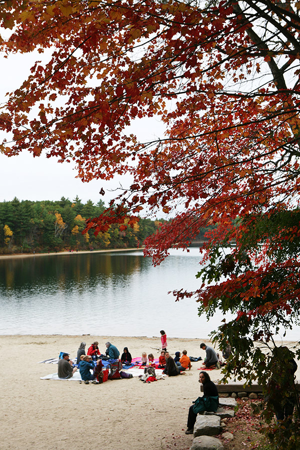 瓦爾登湖畔的野餐