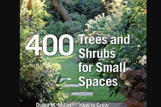 400 Trees and Shrubs for Small Spaces