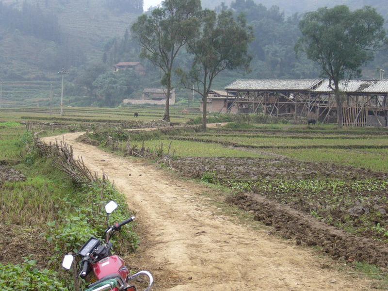 入村道路