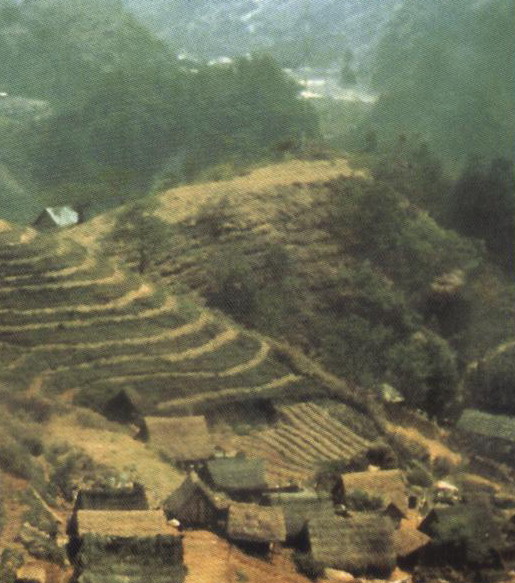 食田制度