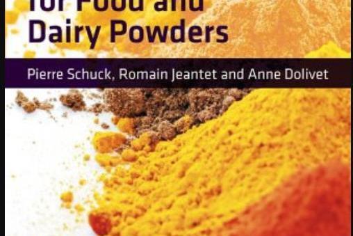 Analytical Methods for Food and Dairy Powders