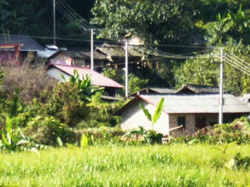 田頭自然村(雲南紅河河口縣瑤山鄉太陽寨村委田頭自然村)