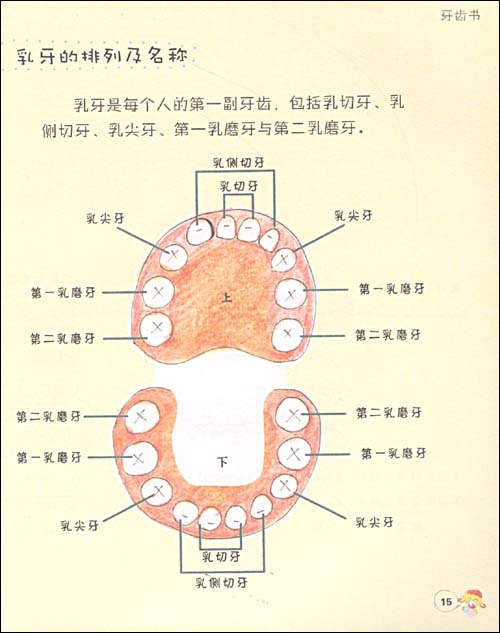 我們要健康：牙齒書