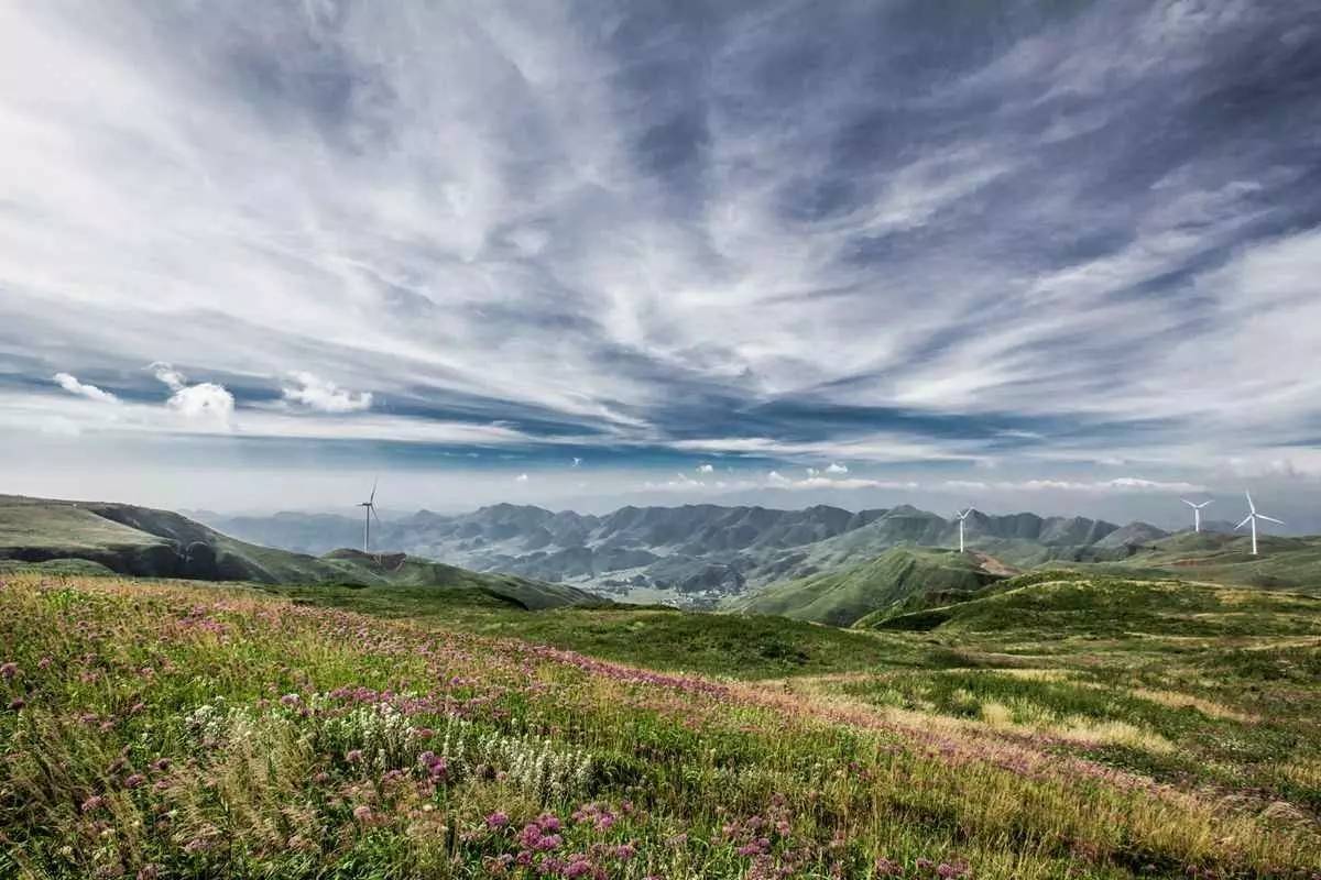 高坡雲頂草場