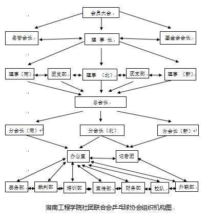 桌球協會組織機構圖