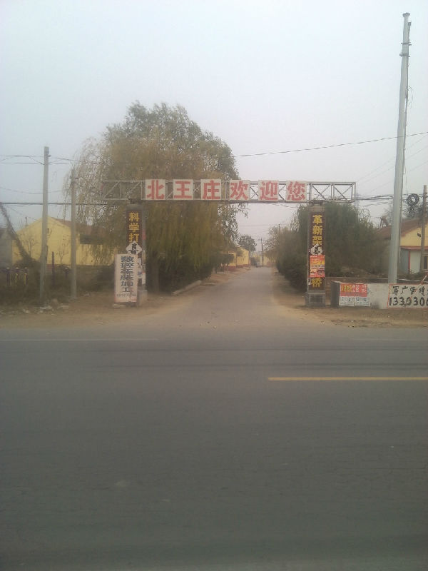 北王莊村(河北省滄州市南皮縣南皮鎮下轄村)