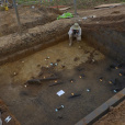 甘棠箐遺址