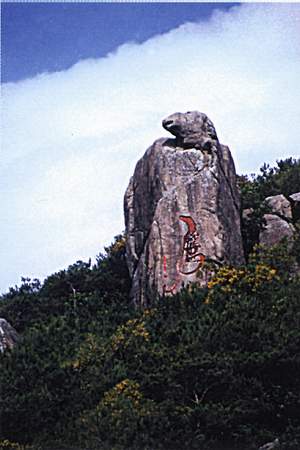 黃花山國家森林公園3