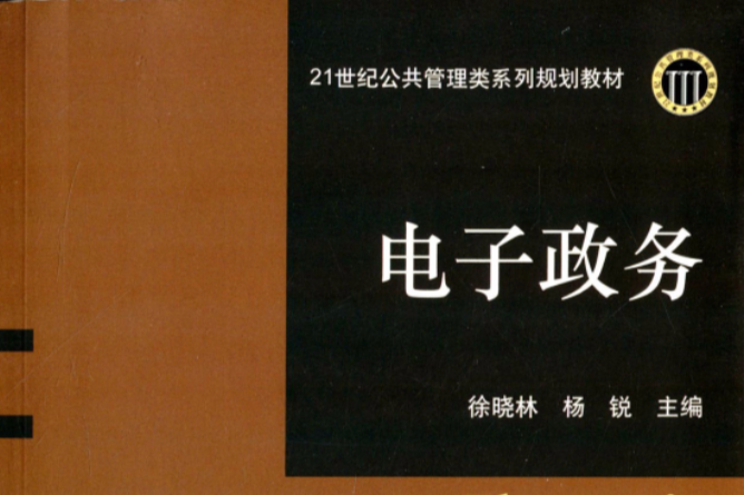 21世紀公共管理類系列規劃教材·電子政務