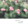 春風十里(2012年中國華僑出版社出版的圖書)