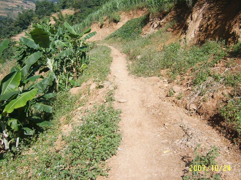 小地溝自然村村內道路