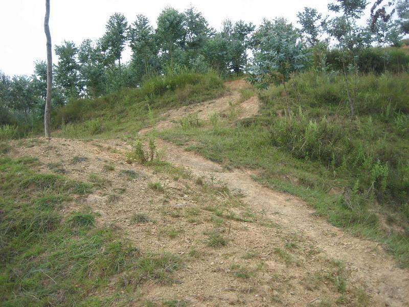 猴子箐村(雲南省臨滄市臨翔區平村鄉下轄村)