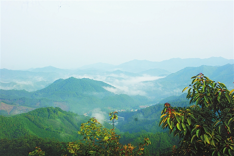 江西金盆山國家森林公園