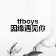 tfboys因緣遇見你