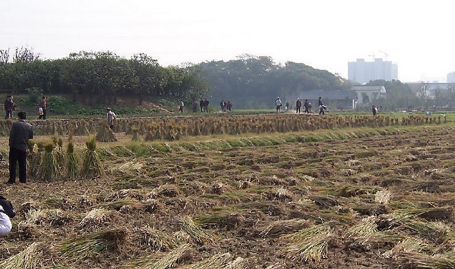 夾河口村