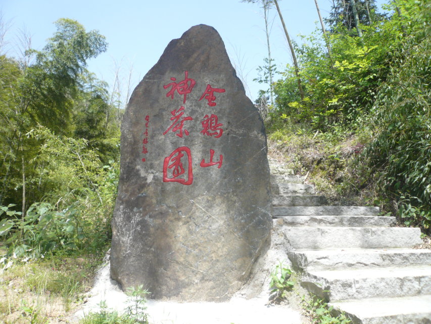 金雞山村(安徽省六安市霍山縣大化坪鎮下轄村)