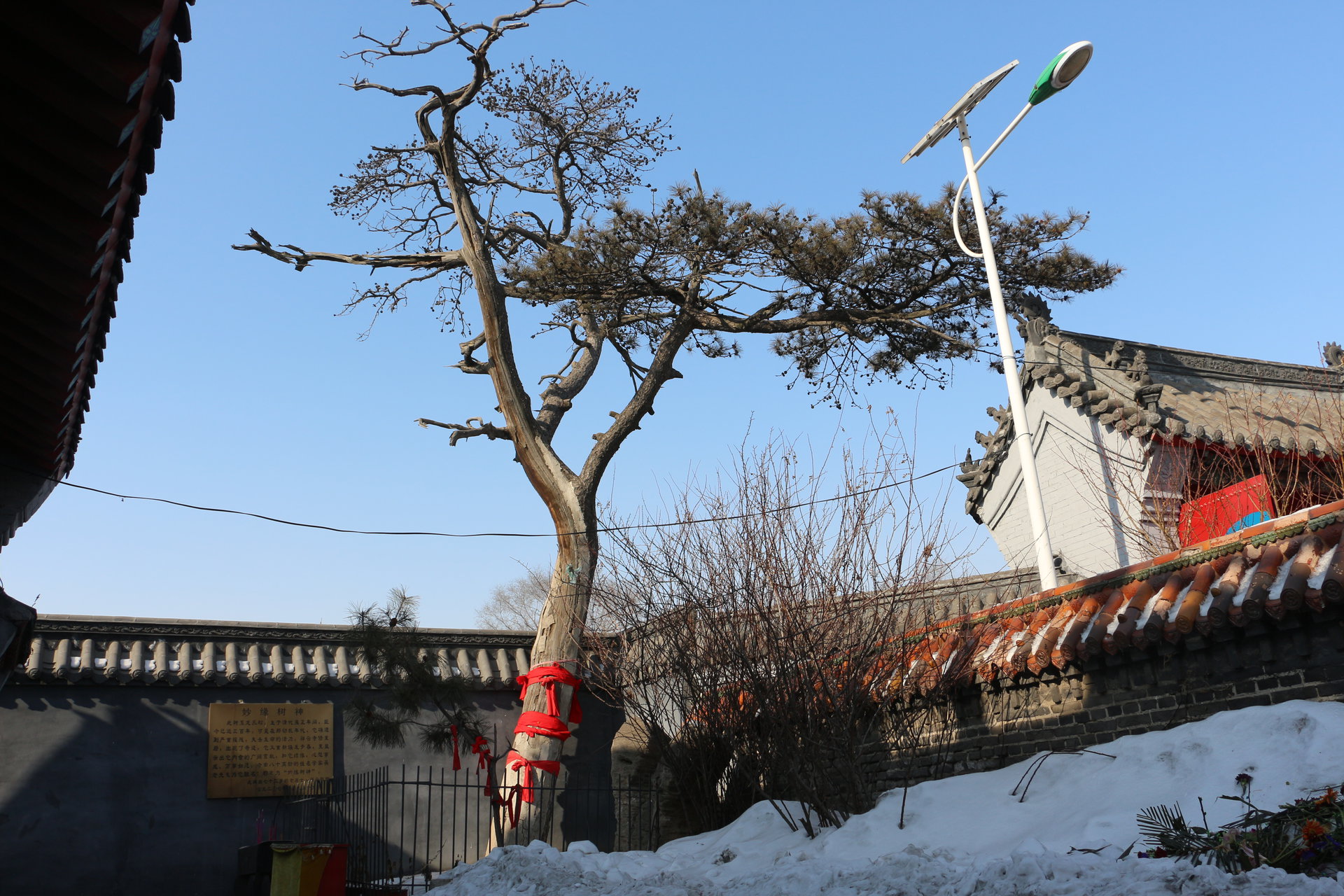 祥雲寺