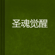 聖魂覺醒(小說)