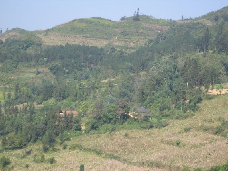 牛路自然村(白河鄉大水村委會下轄自然村)