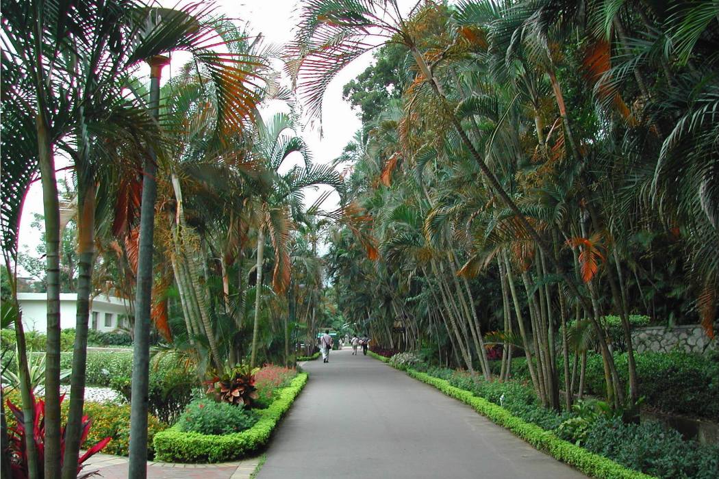 天然植物園