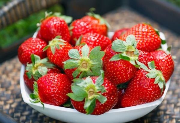 磚埠草莓