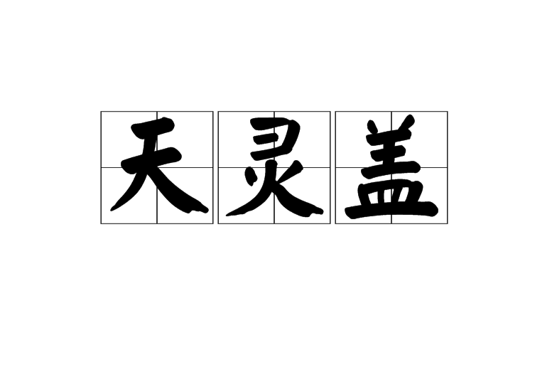 天靈蓋(漢語詞語)