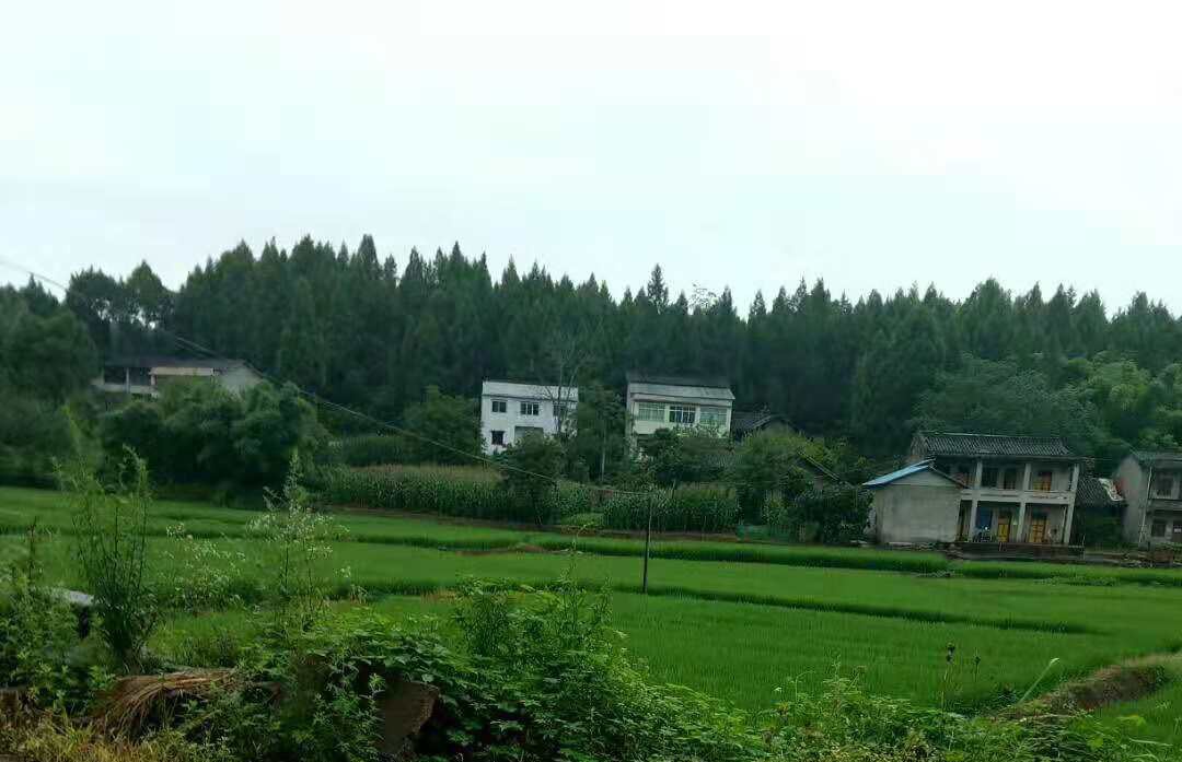 袁家壩村