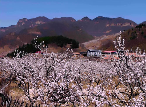 北寨村(山西澤州縣柳樹口鎮下轄村)