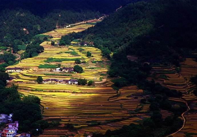 合水石硤梯田。