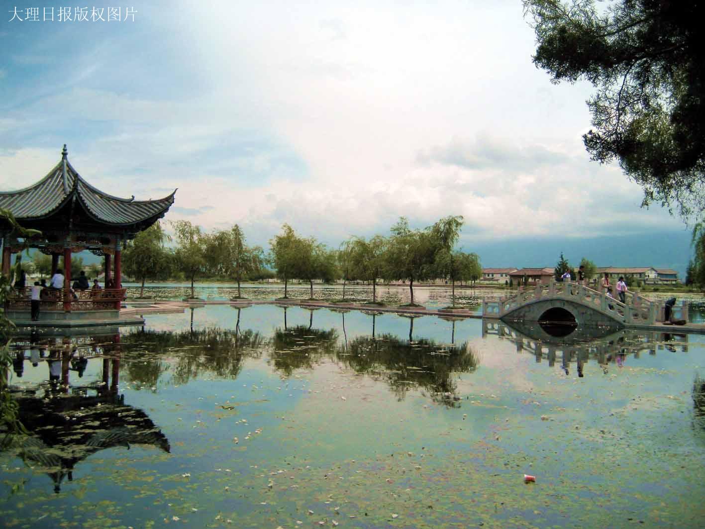 新華村(雲南省曲靖宣威市務德鎮新華村委會)