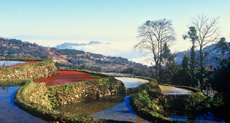 箐口村(雲南省紅河彌勒縣五山鄉箐口村)