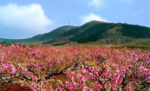 大洞山風景區