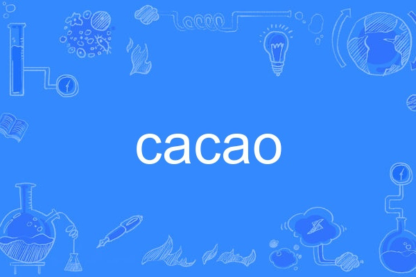 cacao(英語單詞)